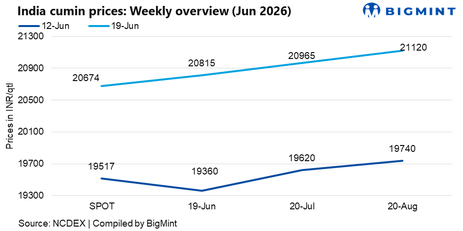 Steel Mint Insights