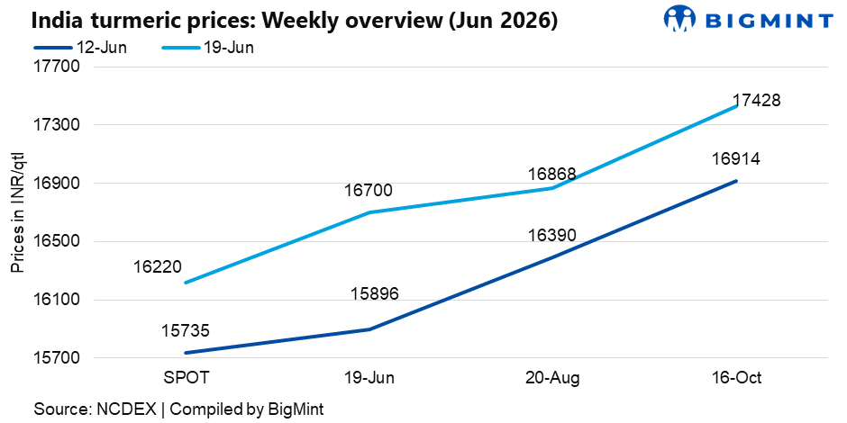 Steel Mint Insights