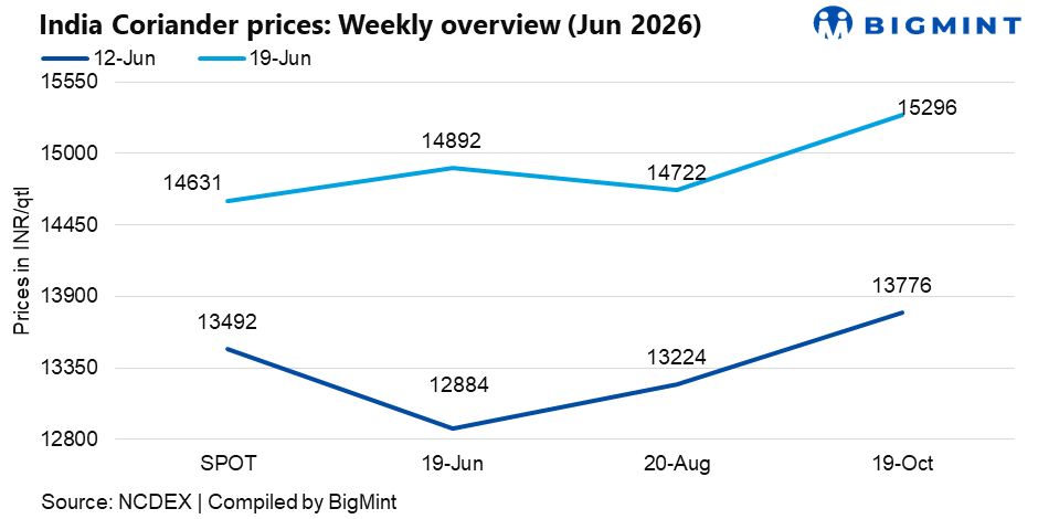 India: Coriander prices rally as lower arrivals, fresh buying lift market sentiment