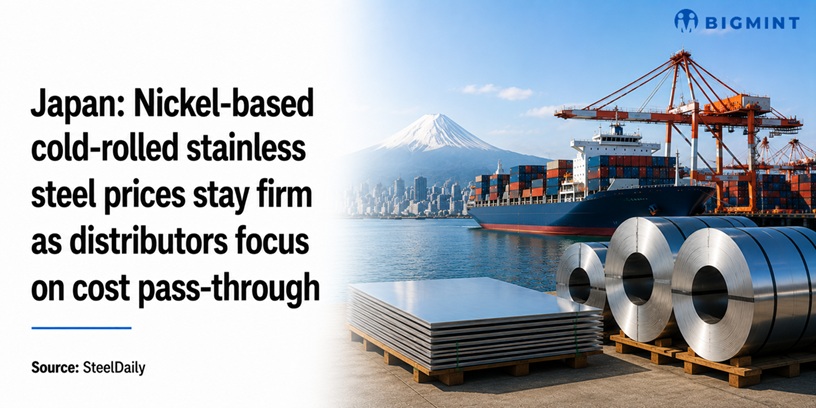 Steel Mint Insights