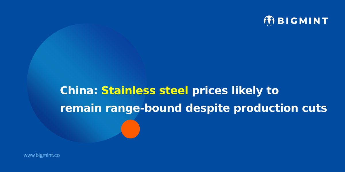 Steel Mint Insights