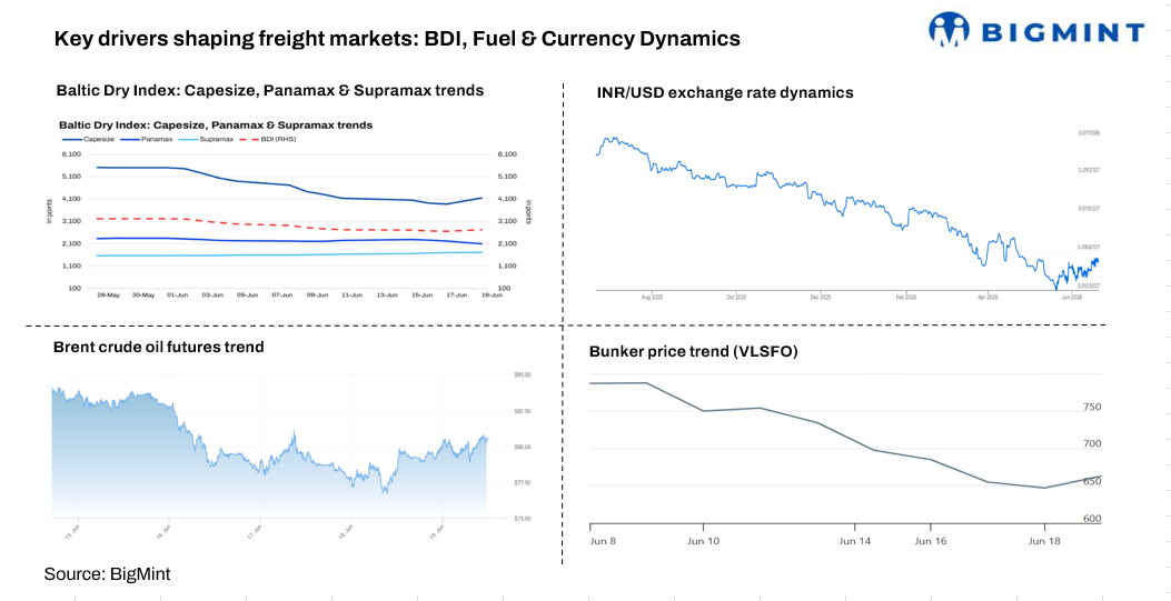 Steel Mint Insights