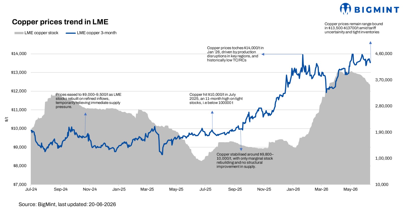 Steel Mint Insights