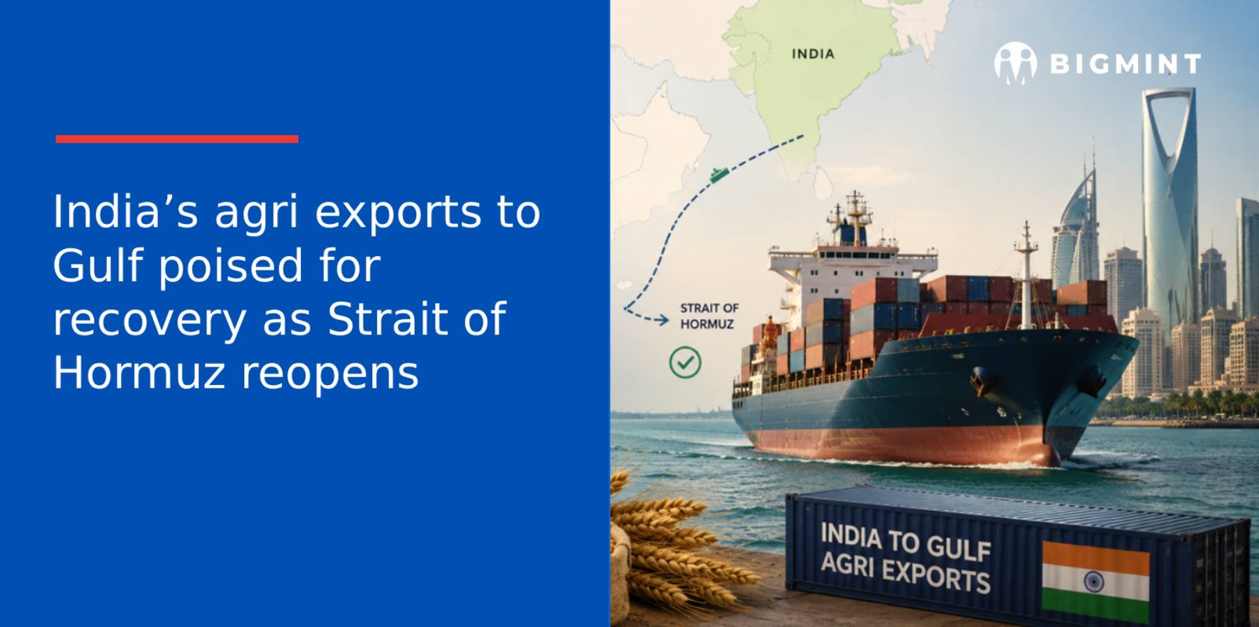 Steel Mint Insights