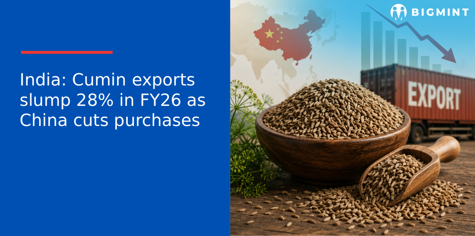 Steel Mint Insights