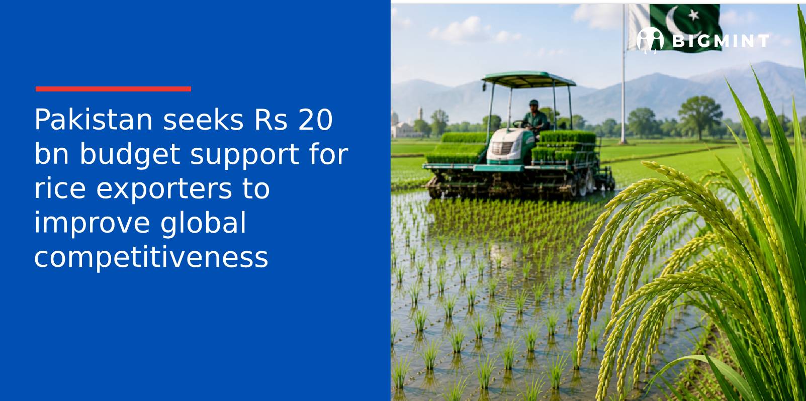Pakistan seeks Rs 20 bn budget support for rice exporters to improve global competitiveness