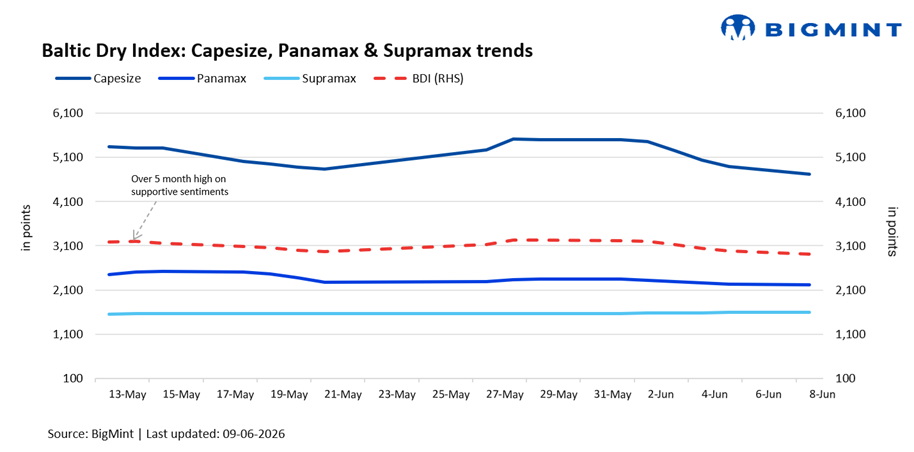Capesize pullback drags Baltic Dry Index lower despite Supramax resilience