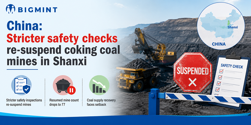Steel Mint Insights