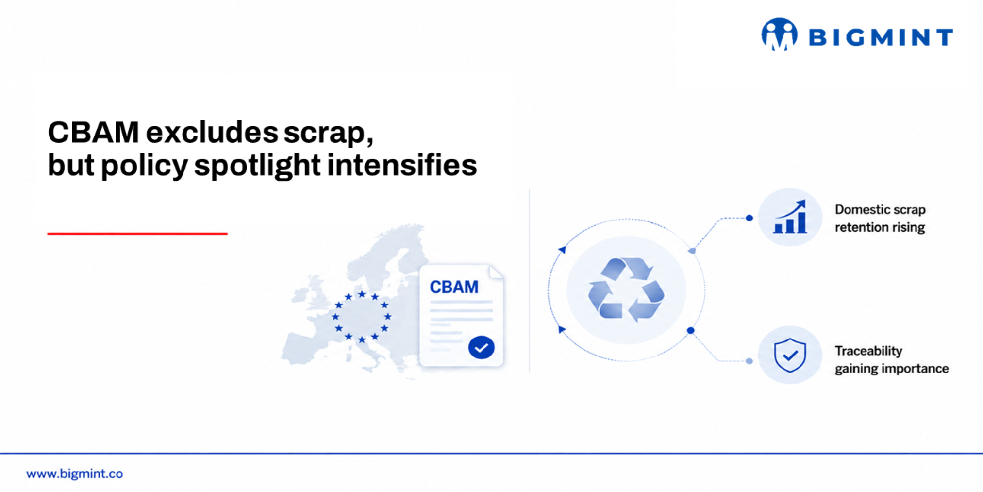 Steel Mint Insights