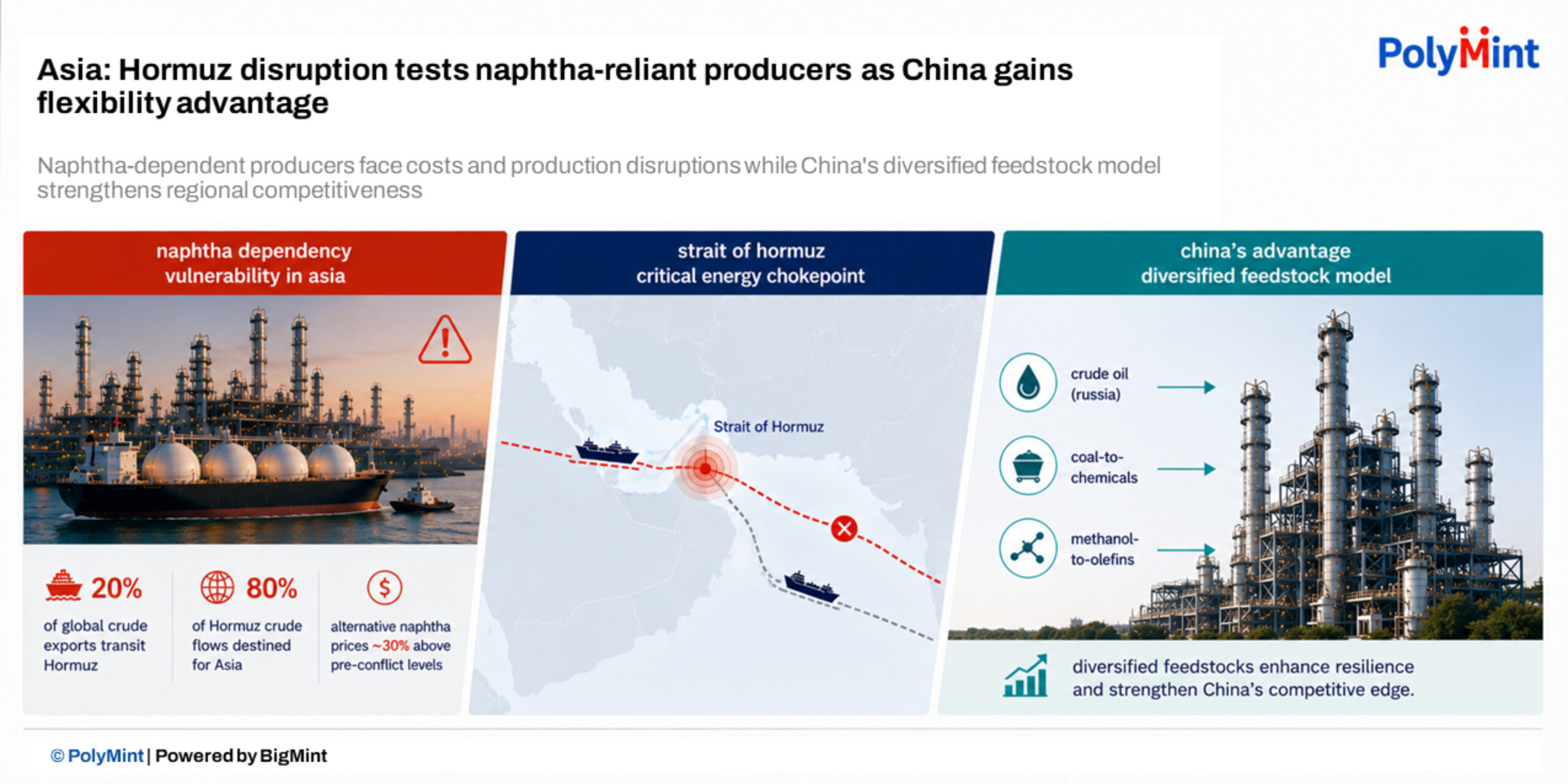 Steel Mint Insights