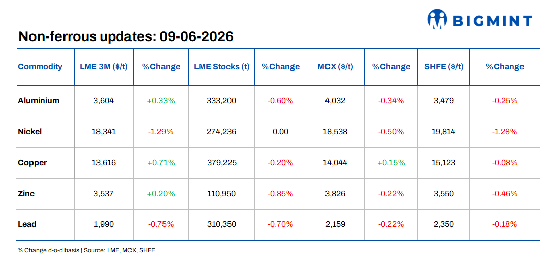 Steel Mint Insights
