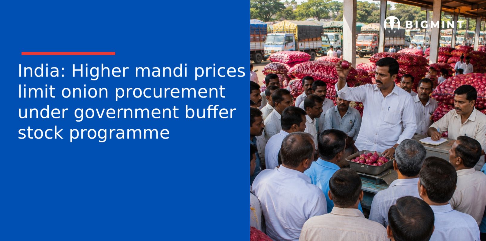 India: Higher mandi prices limit onion procurement under government buffer stock programme