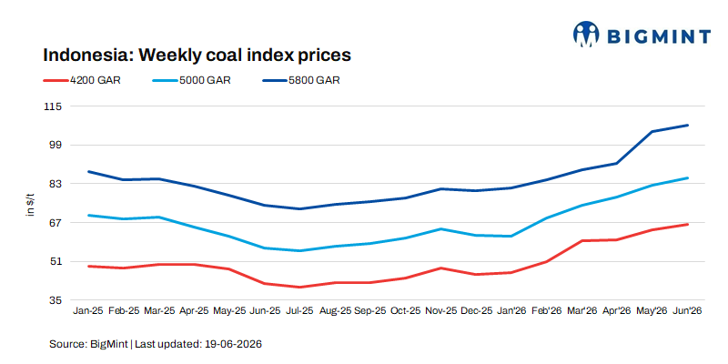 Steel Mint Insights