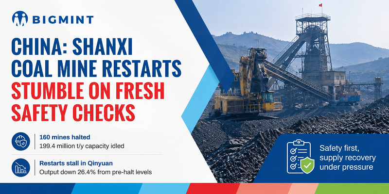 Steel Mint Insights