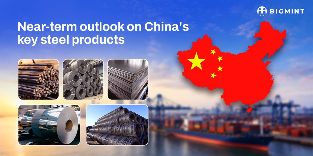 Steel Mint Insights