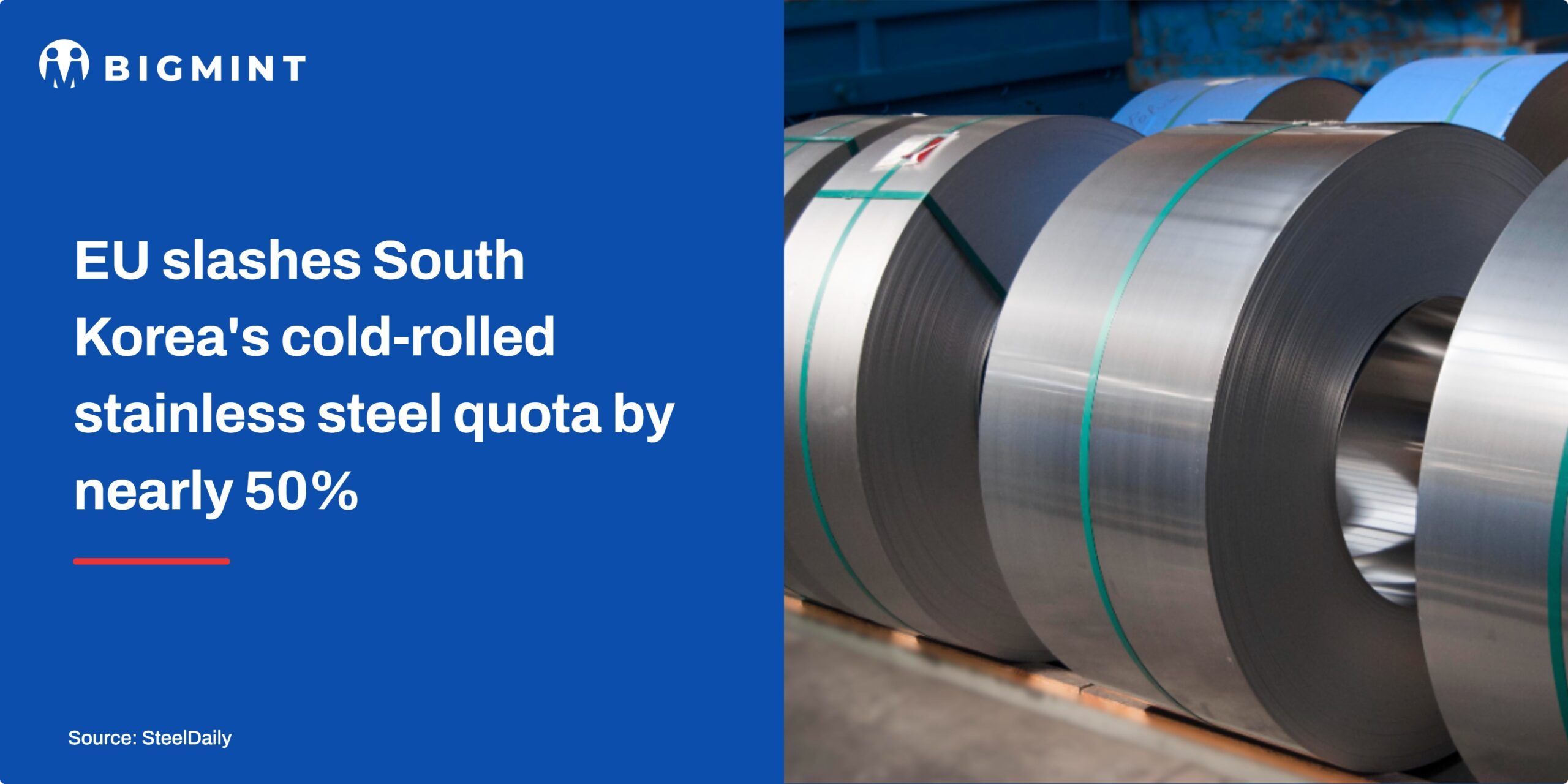 Steel Mint Insights