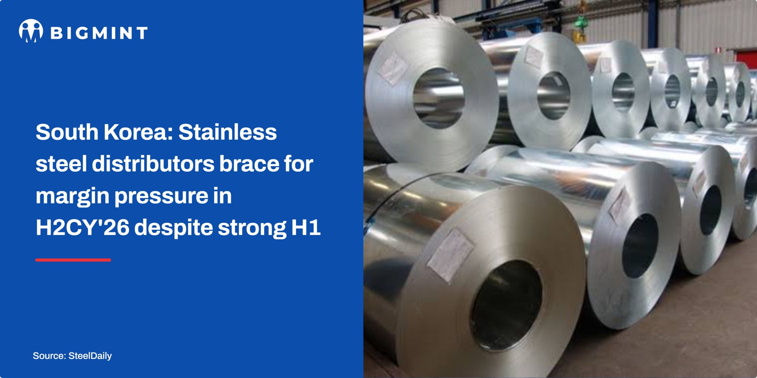 Steel Mint Insights