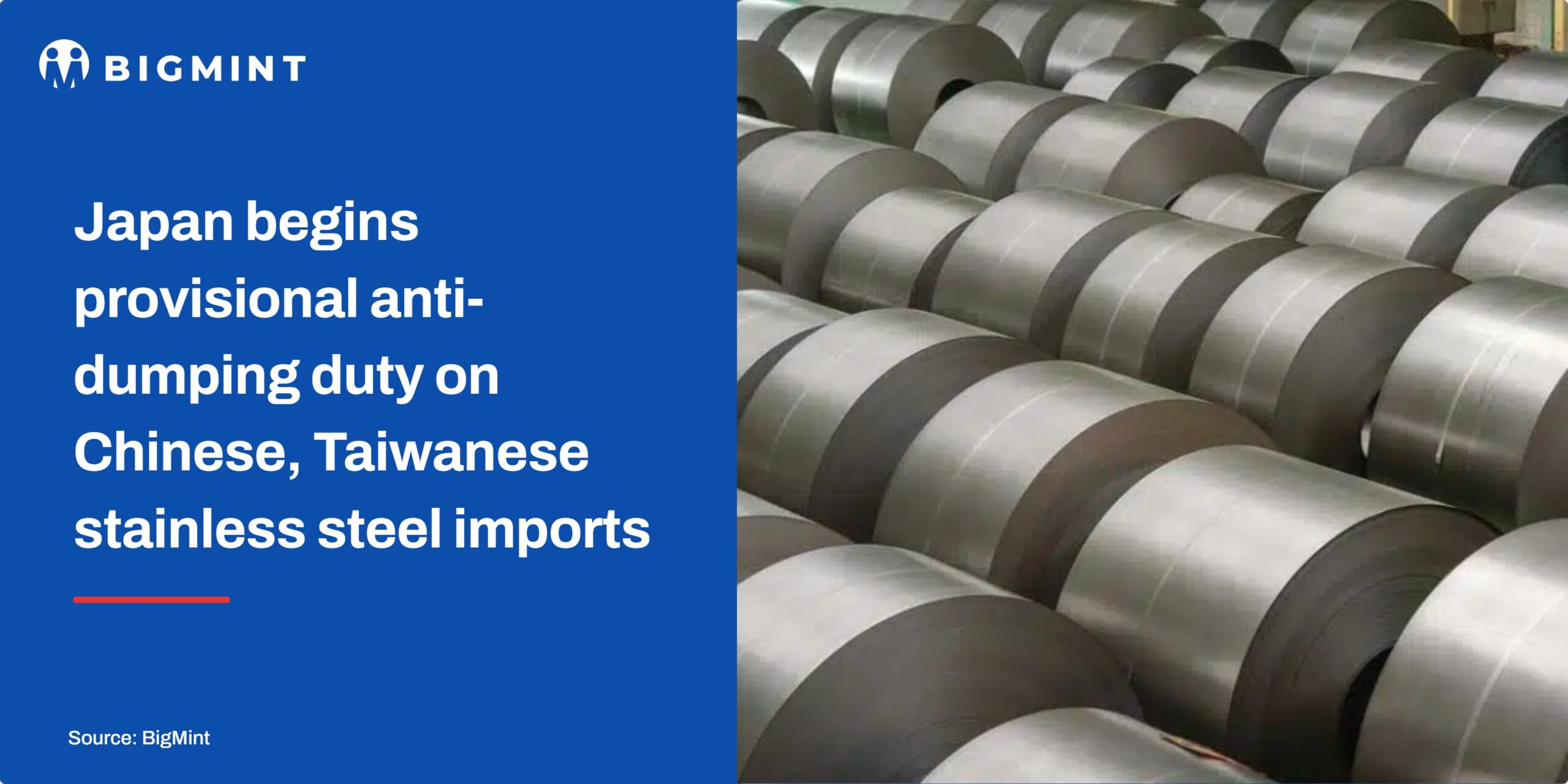 Steel Mint Insights