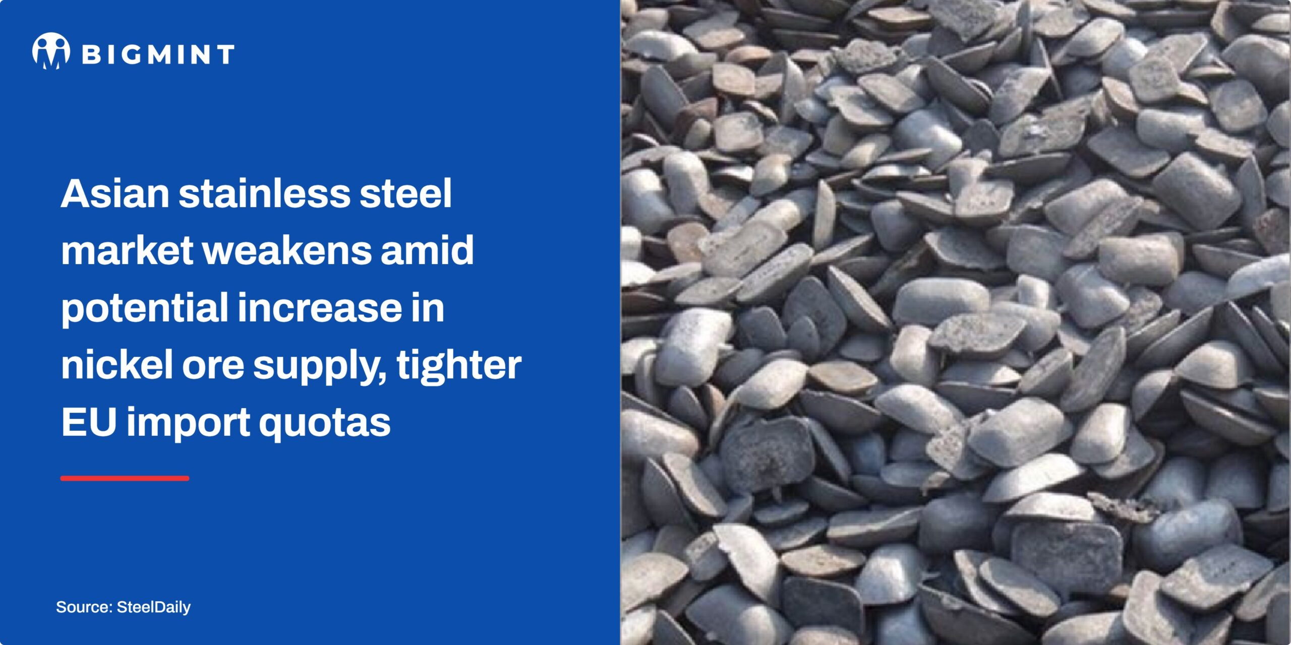Steel Mint Insights