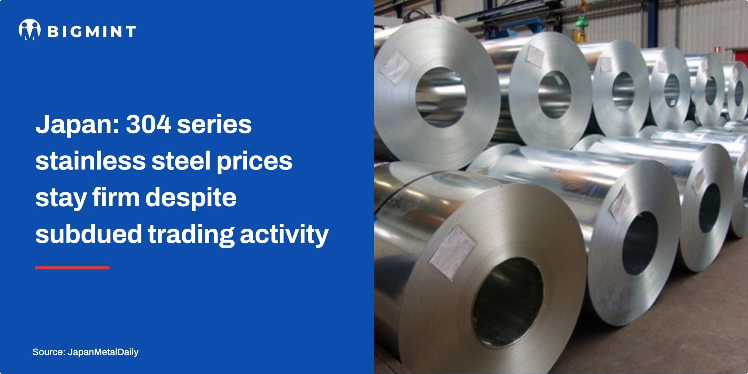 Steel Mint Insights