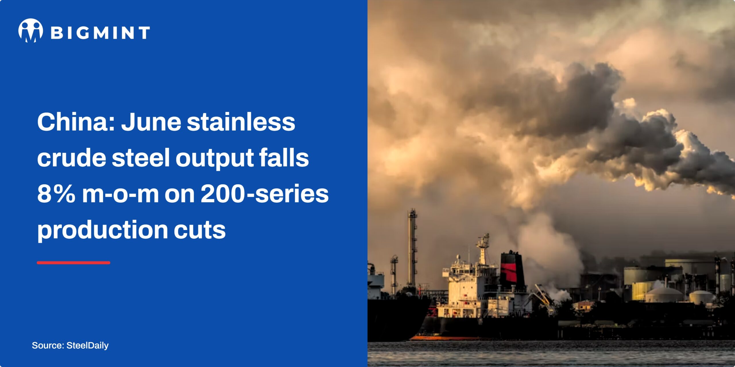 Steel Mint Insights