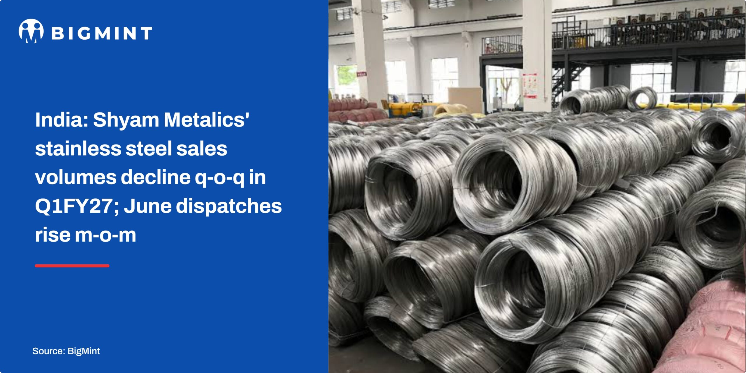 Steel Mint Insights