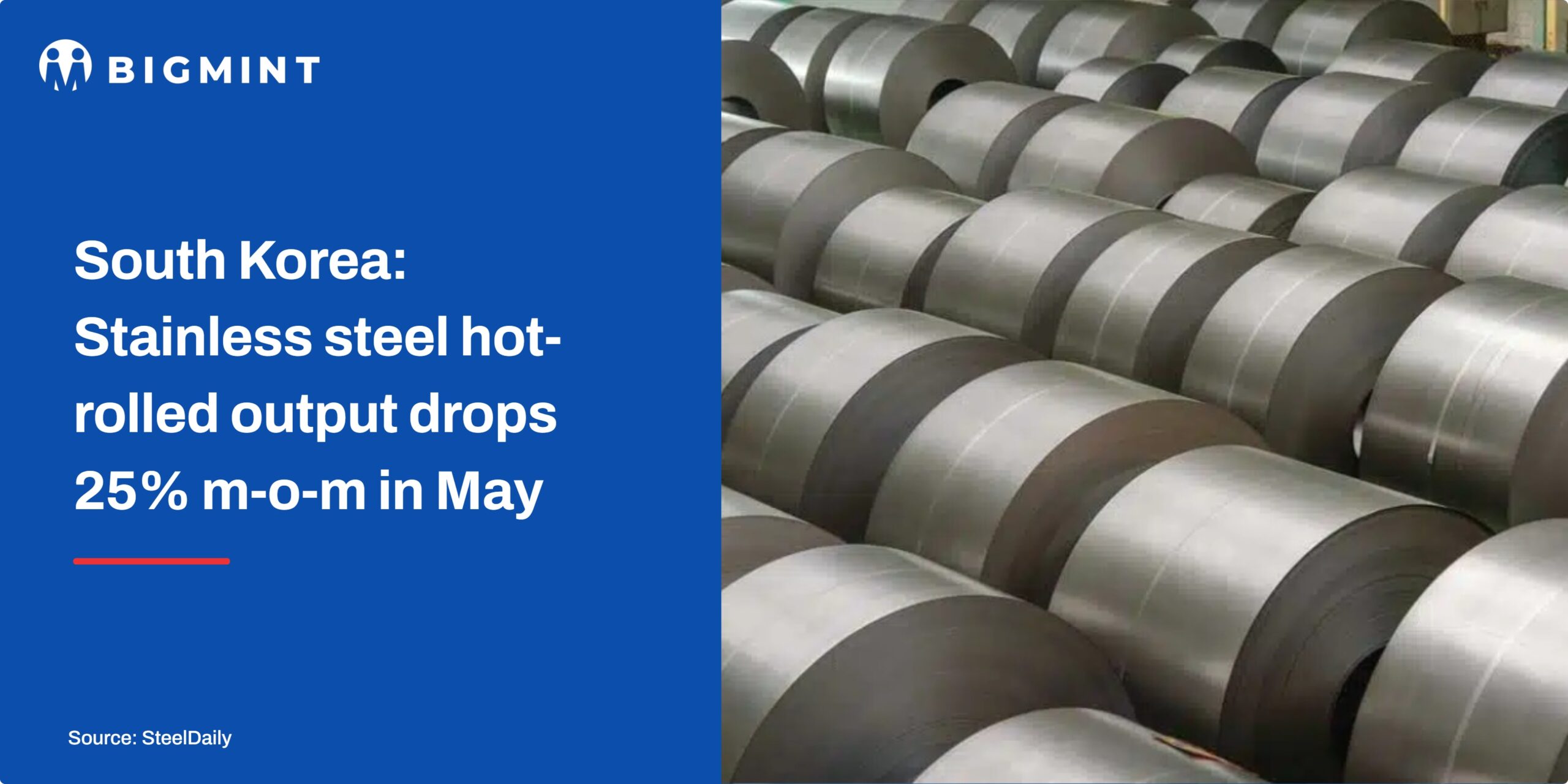 Steel Mint Insights