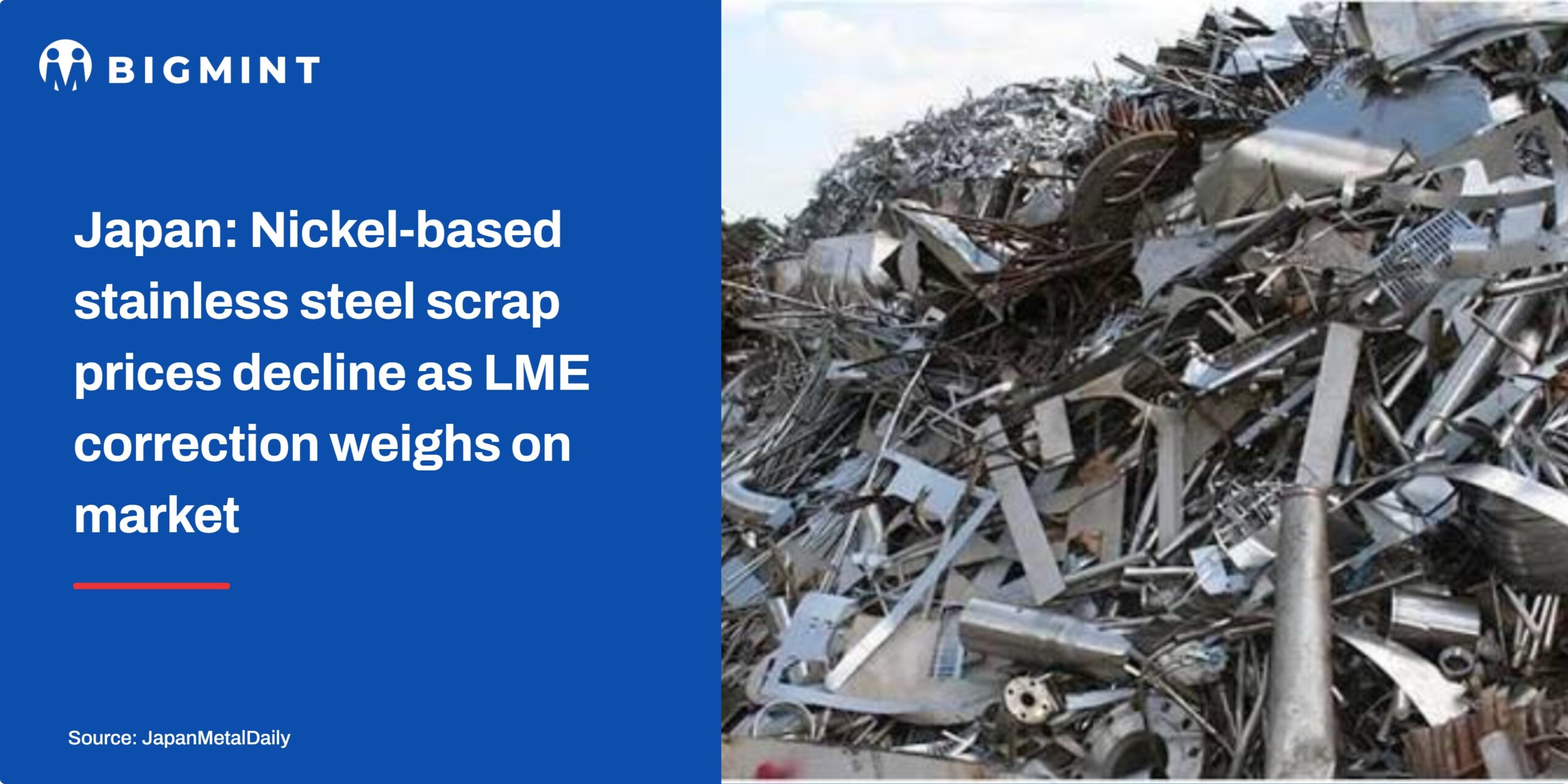 Steel Mint Insights