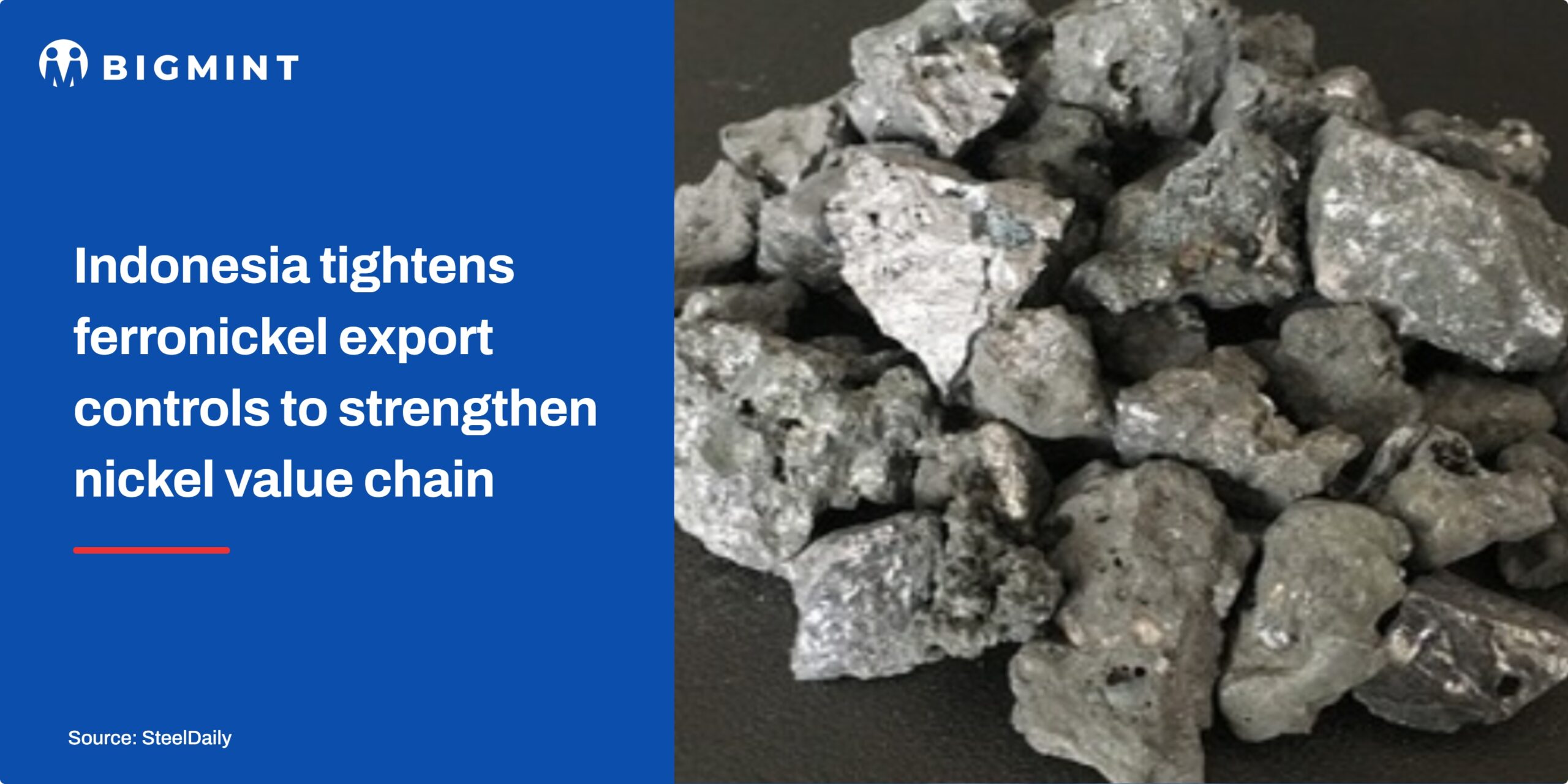 Steel Mint Insights