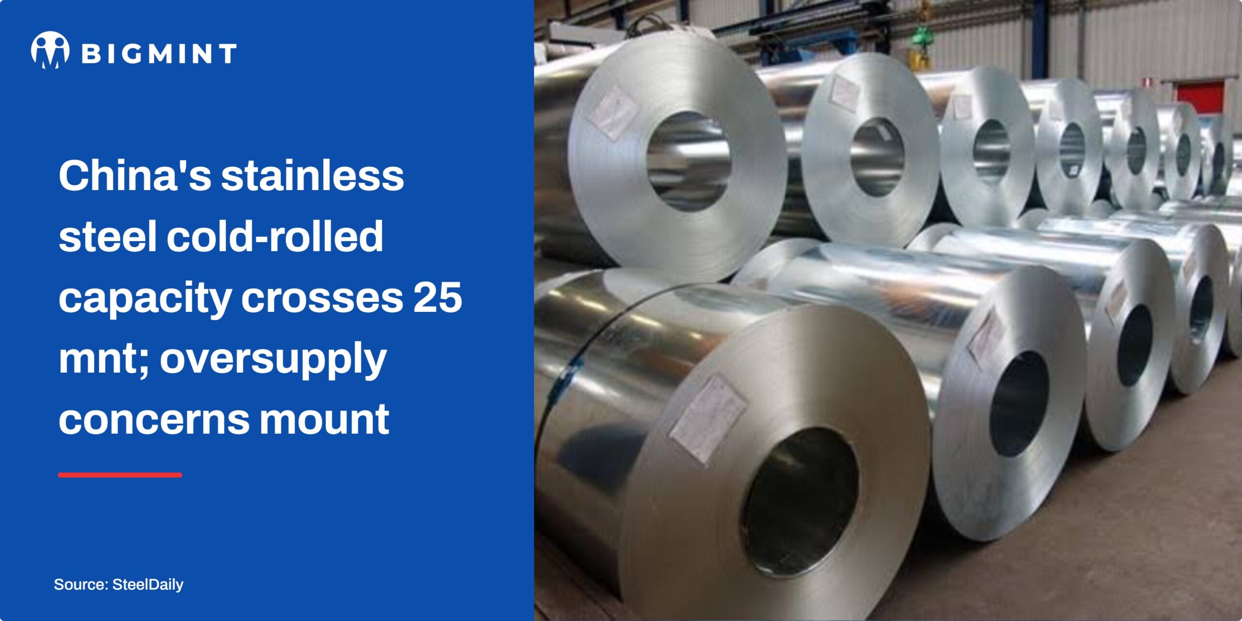 Steel Mint Insights