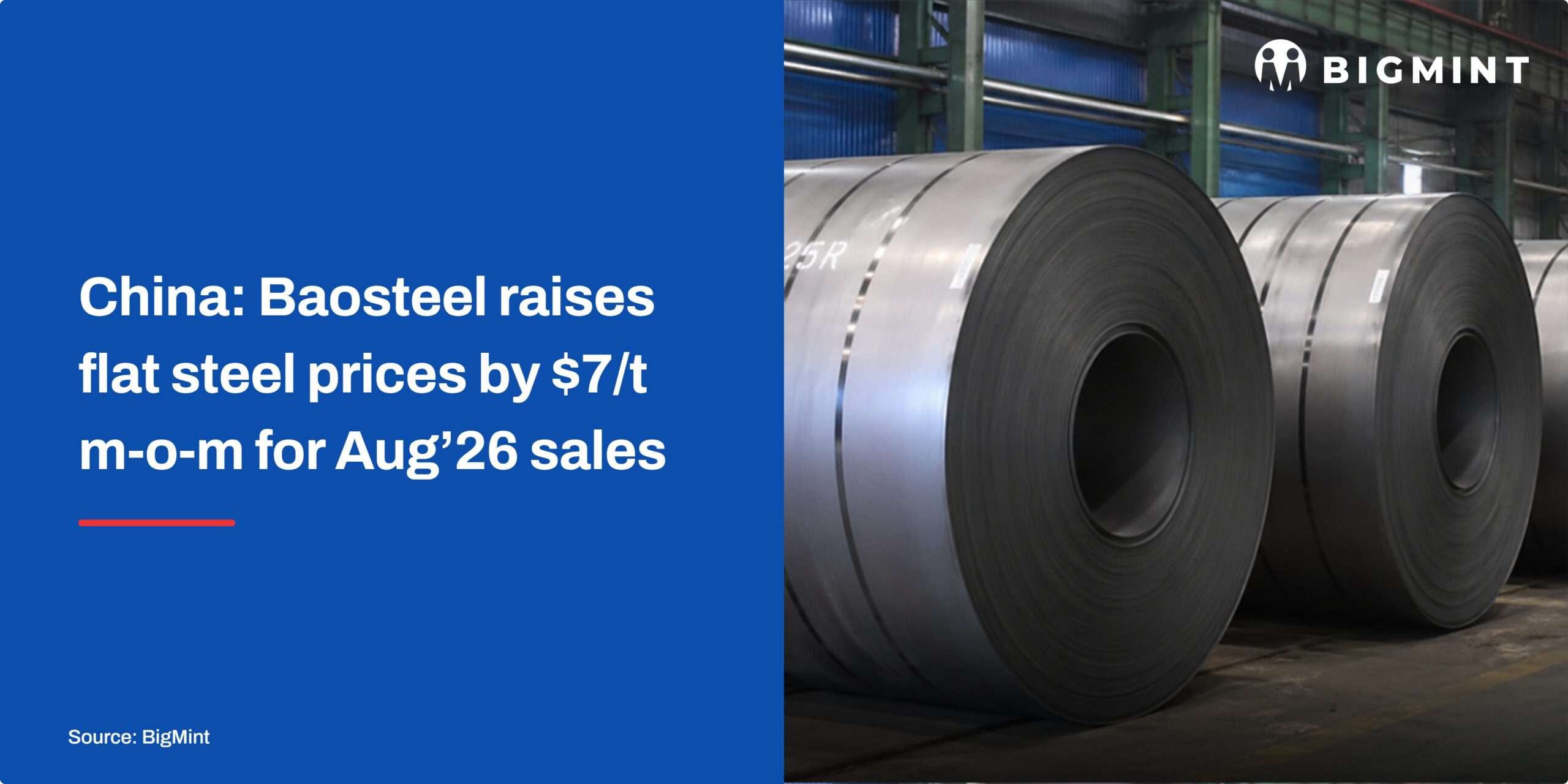 Steel Mint Insights