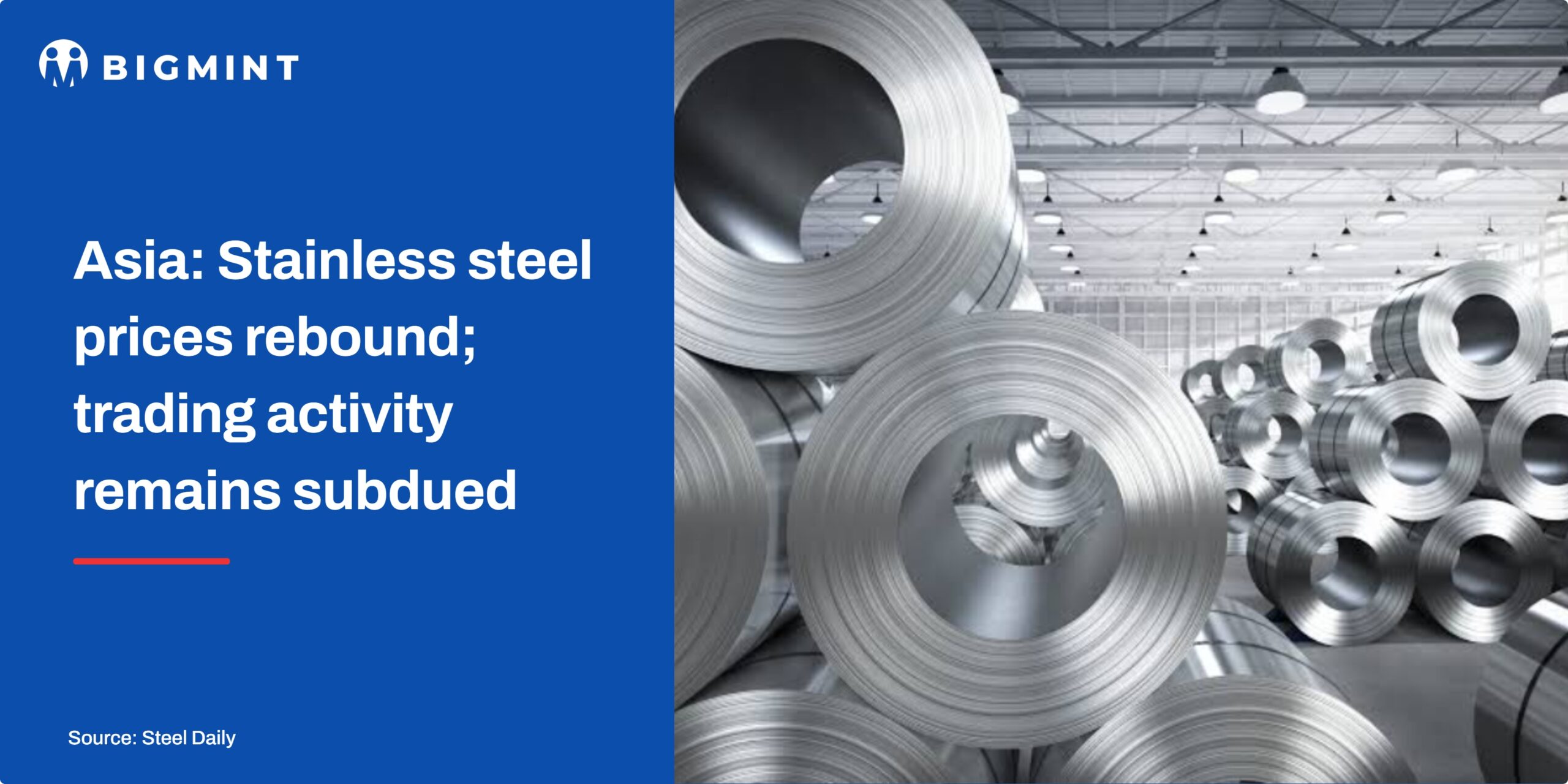 Steel Mint Insights