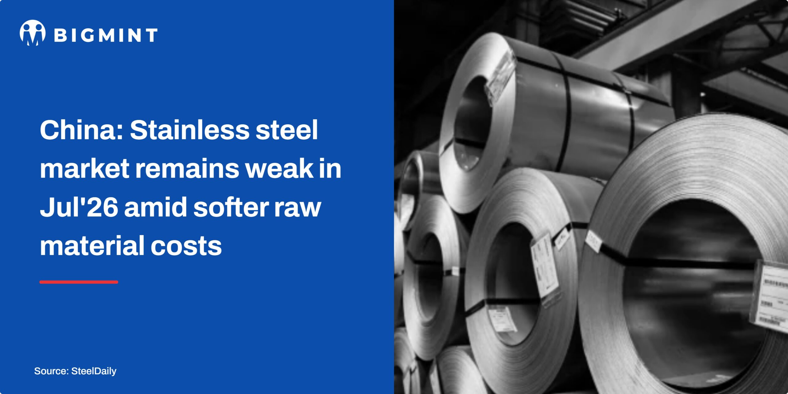 Steel Mint Insights