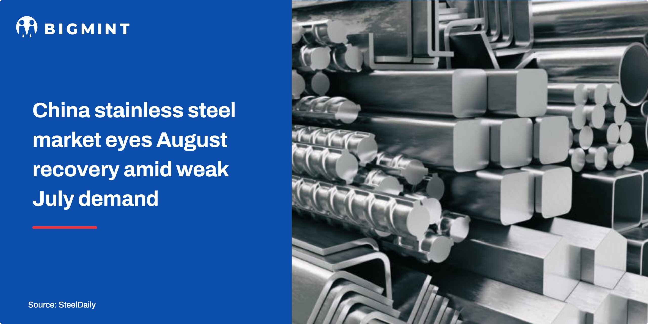 Steel Mint Insights