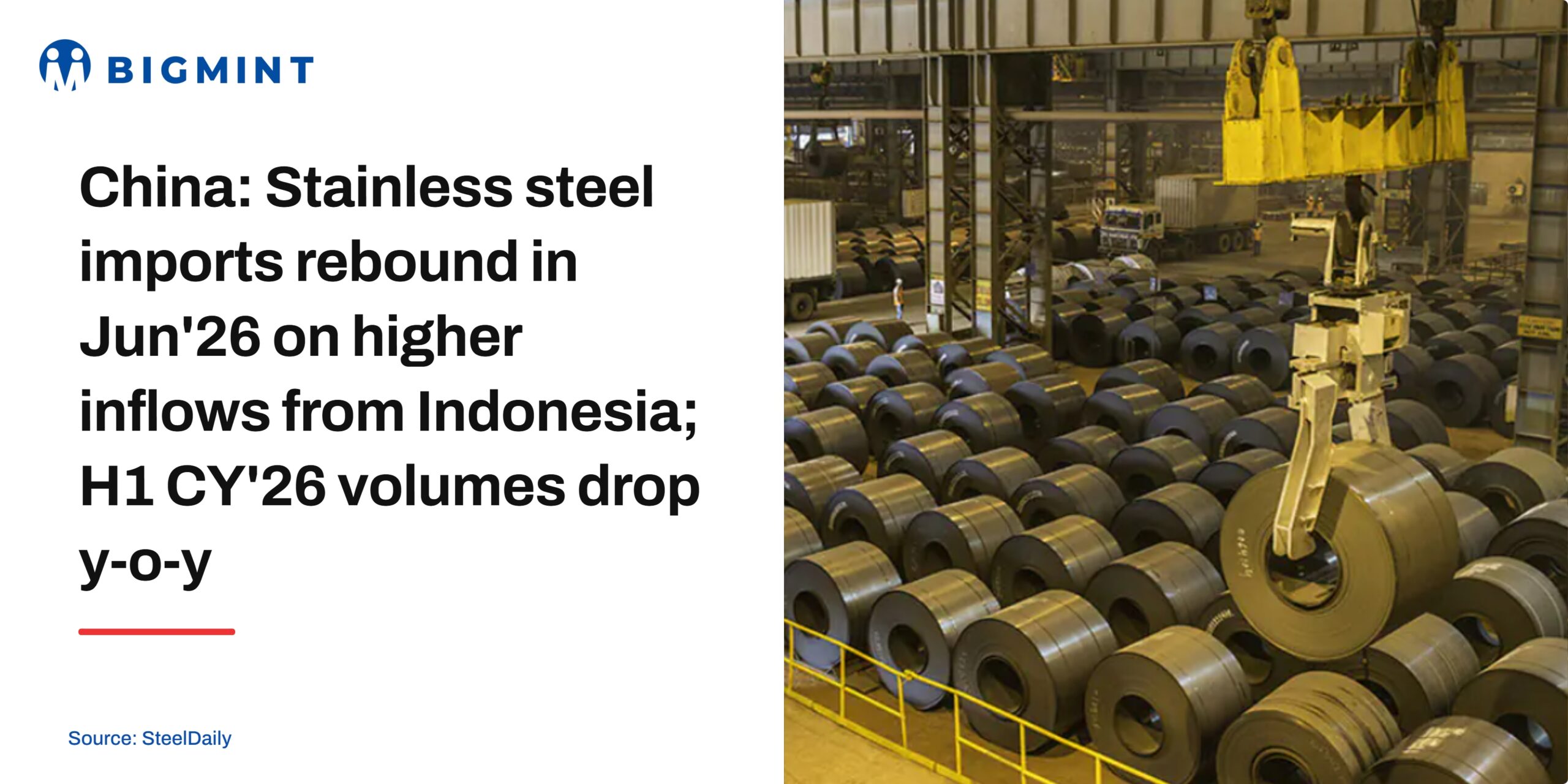 Steel Mint Insights