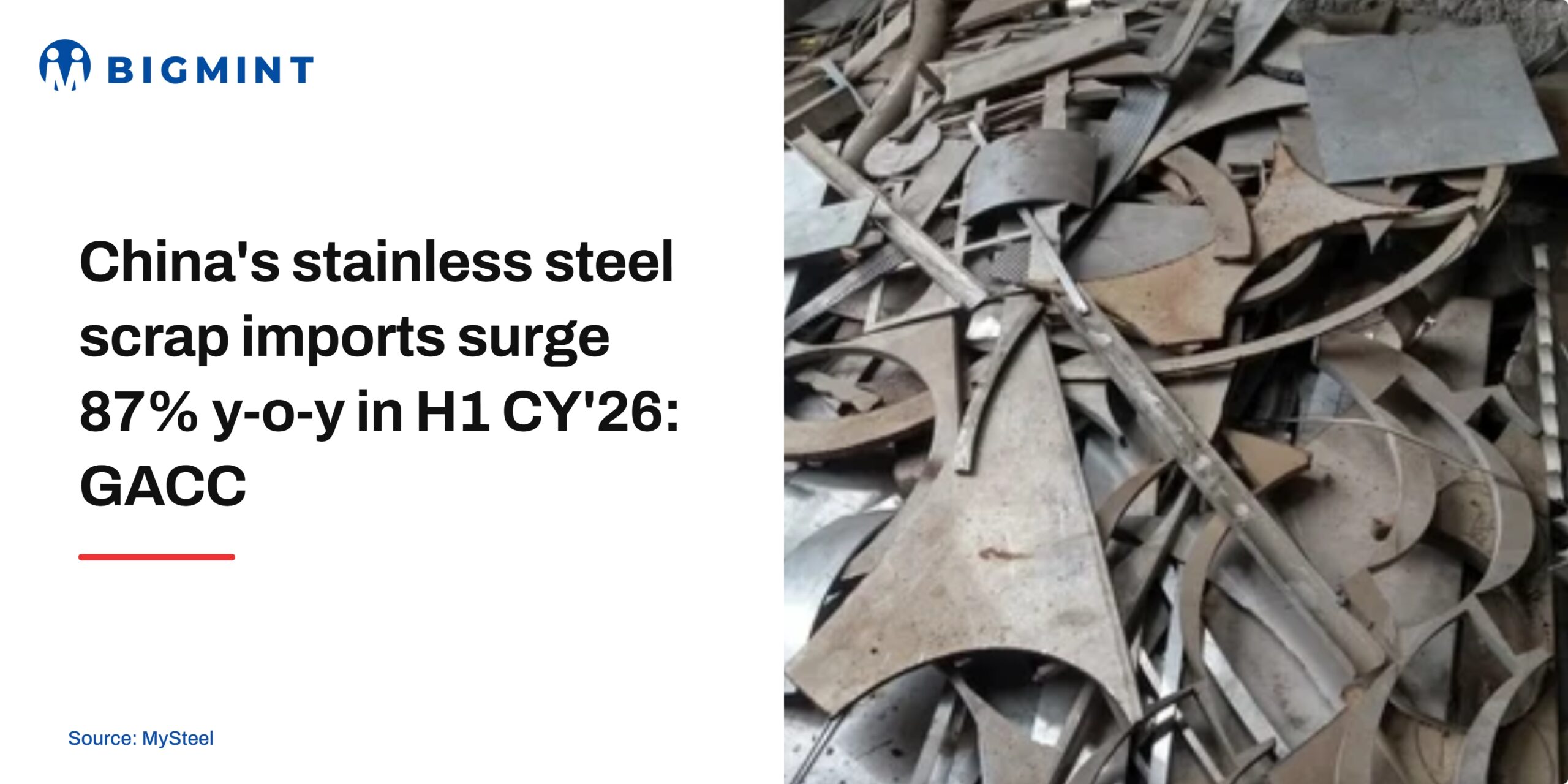 Steel Mint Insights