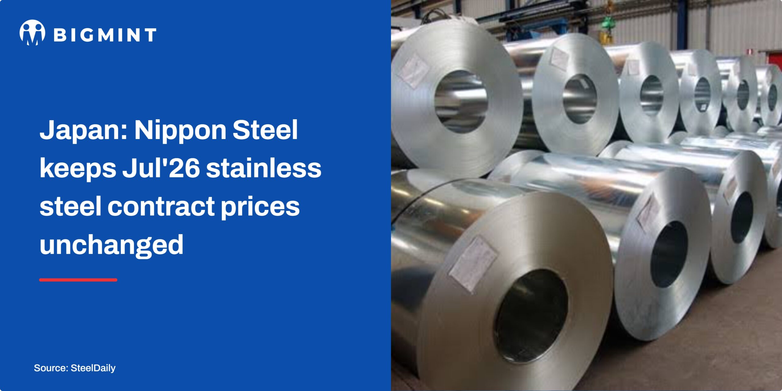 Steel Mint Insights