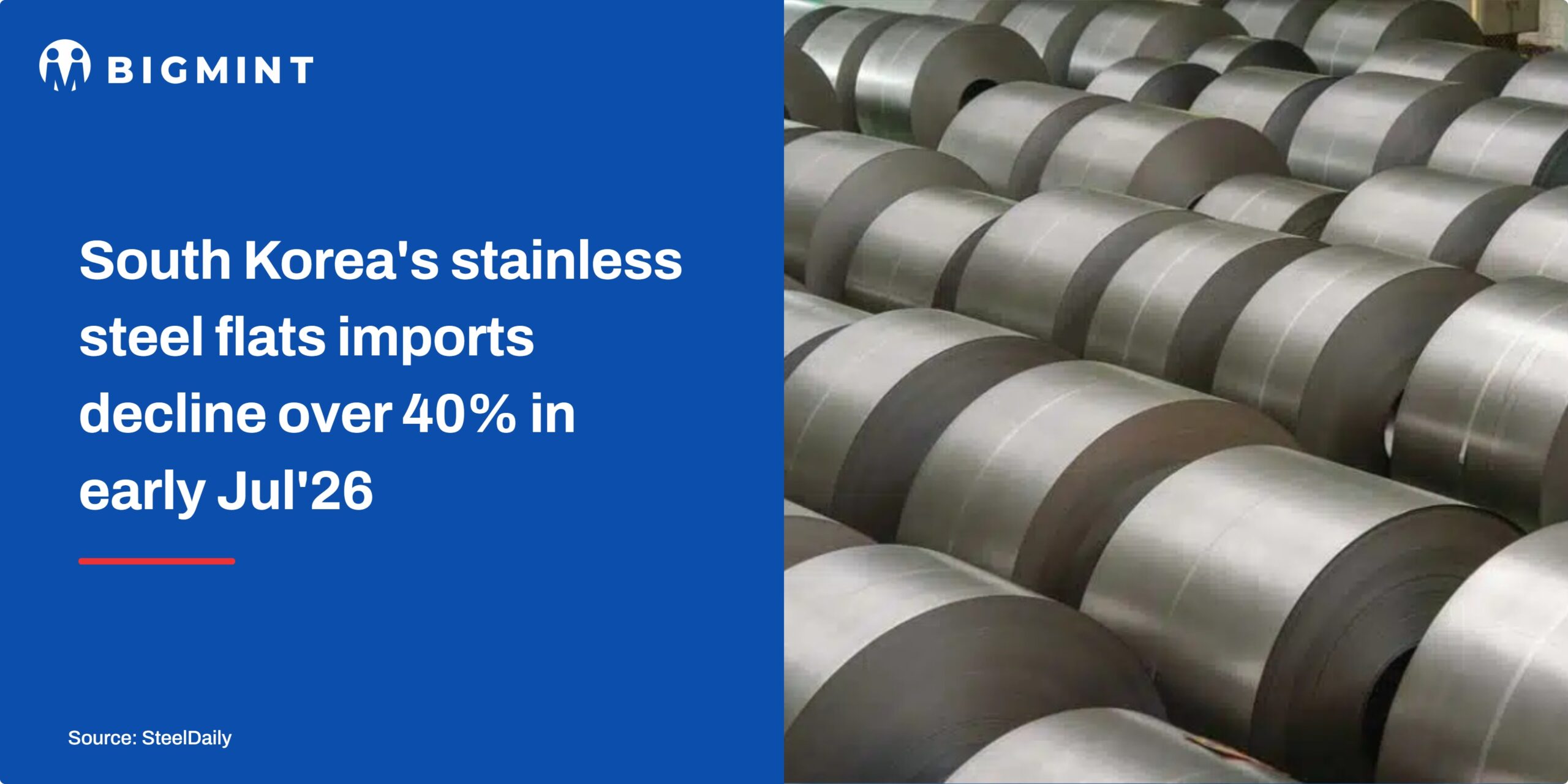 Steel Mint Insights