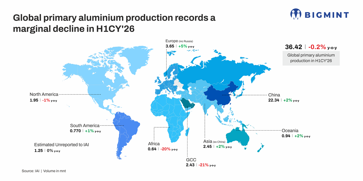 Steel Mint Insights