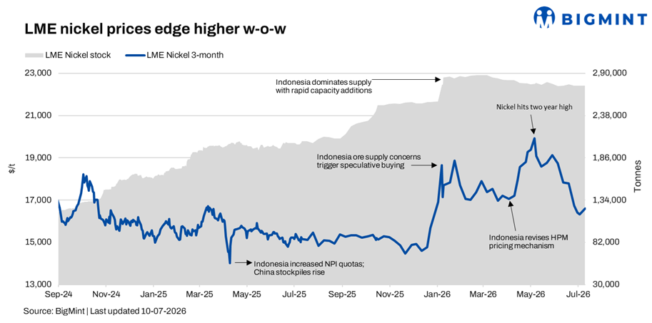 Steel Mint Insights