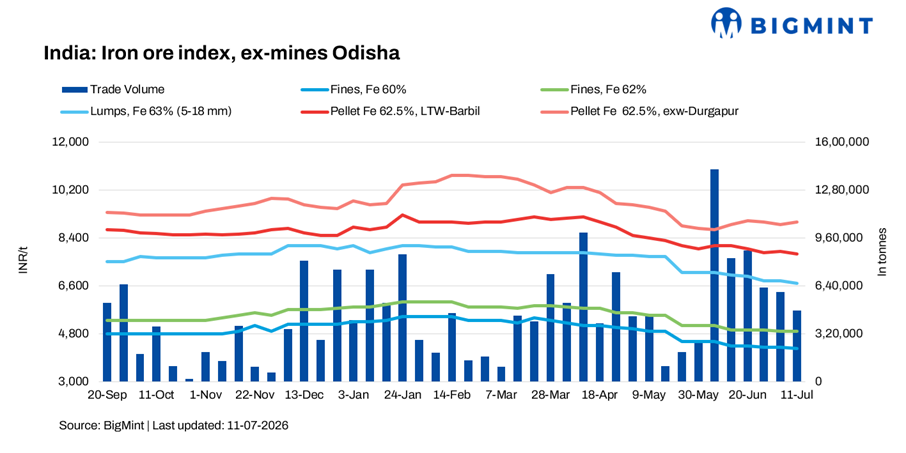 Steel Mint Insights