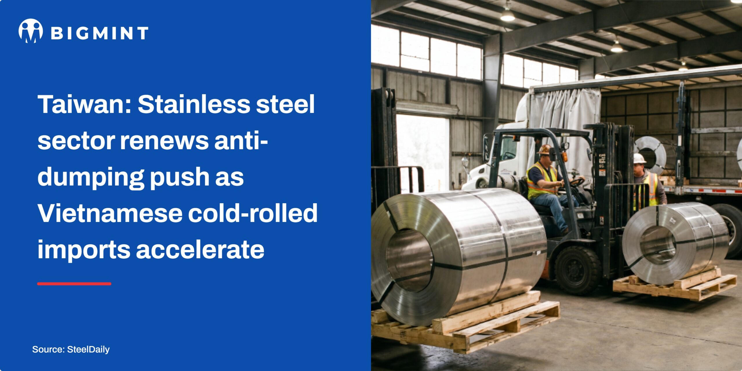 Steel Mint Insights