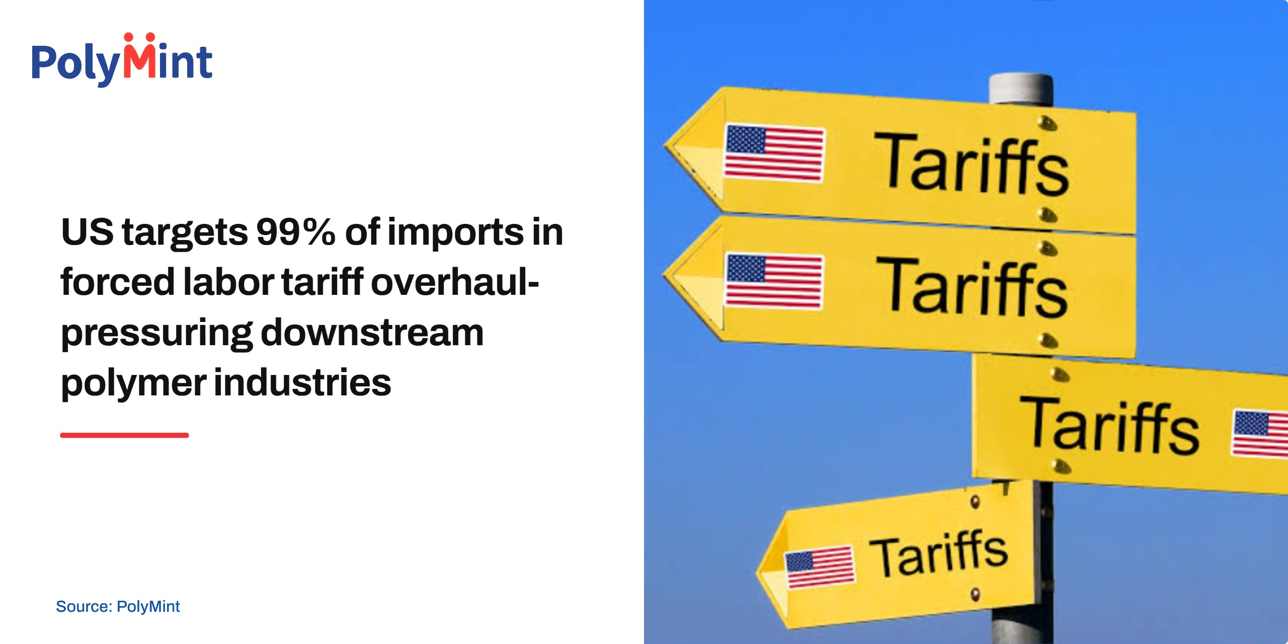 Steel Mint Insights
