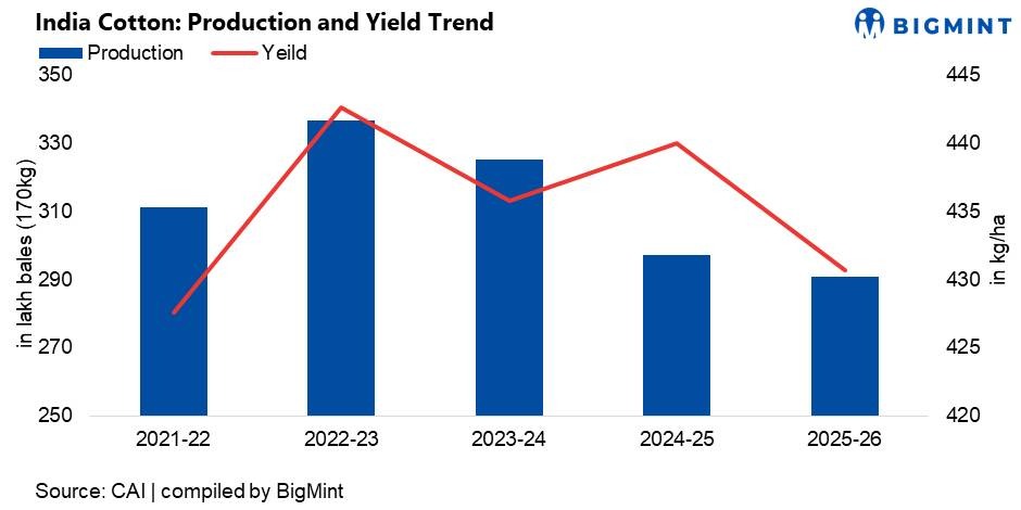 Steel Mint Insights