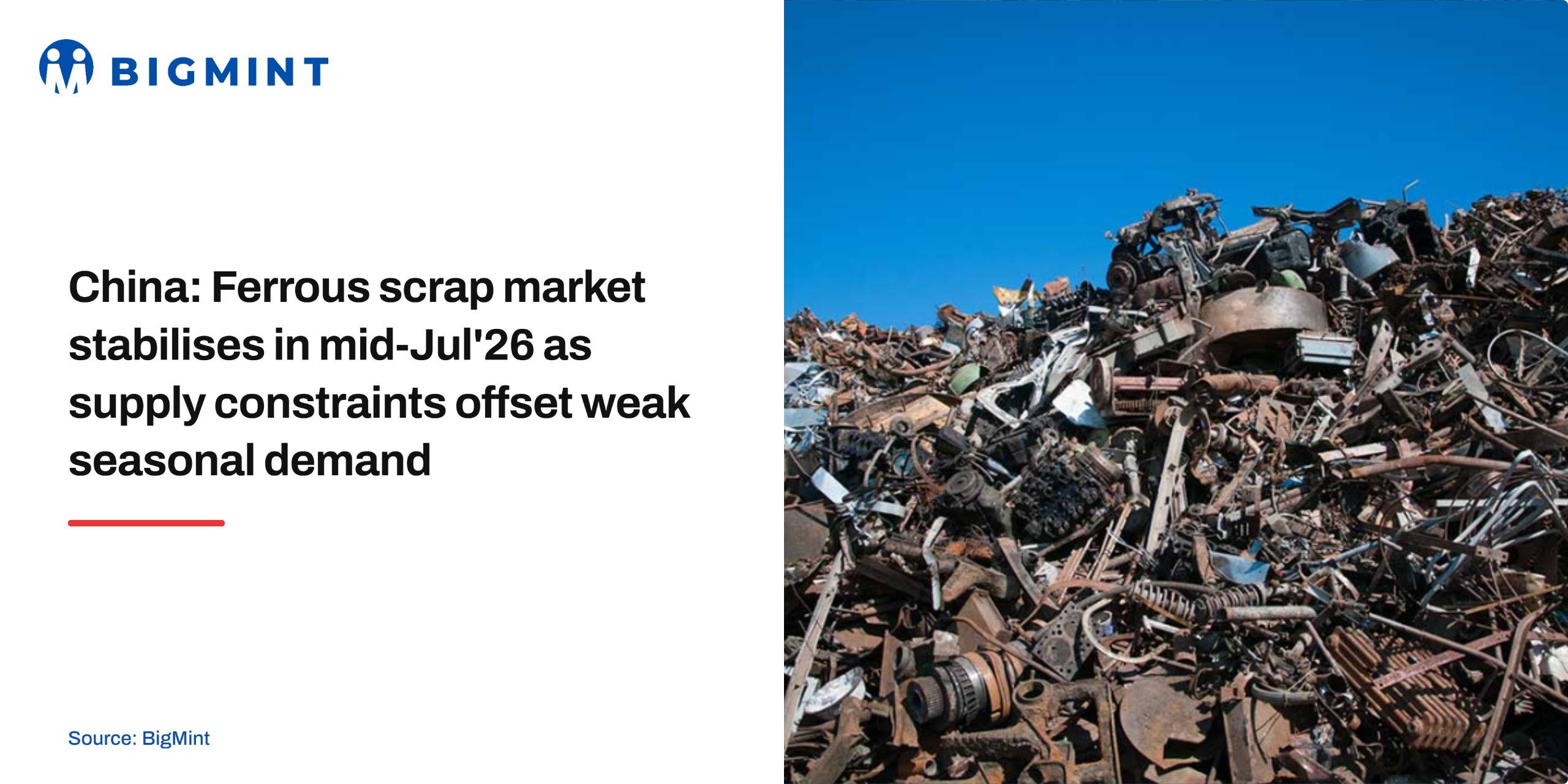 Steel Mint Insights