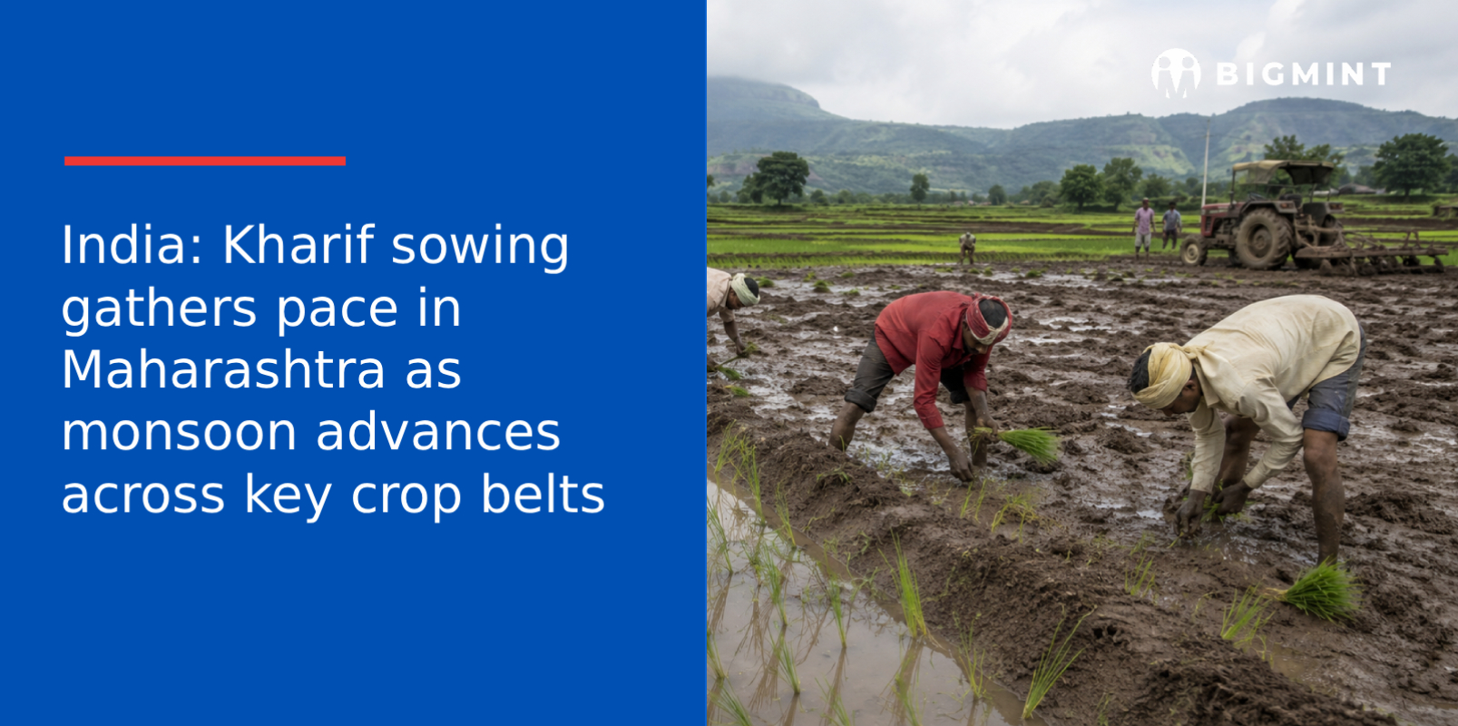 India: Kharif sowing gathers pace in Maharashtra as monsoon advances across key crop belts
