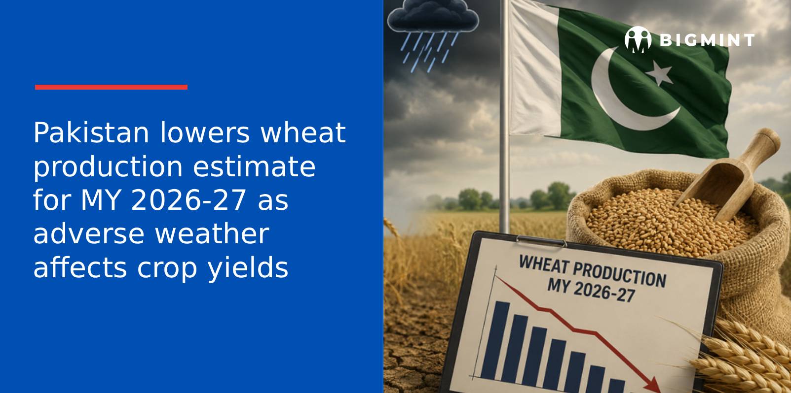Pakistan lowers wheat production estimate for MY 2026-27 as adverse weather affects crop yields