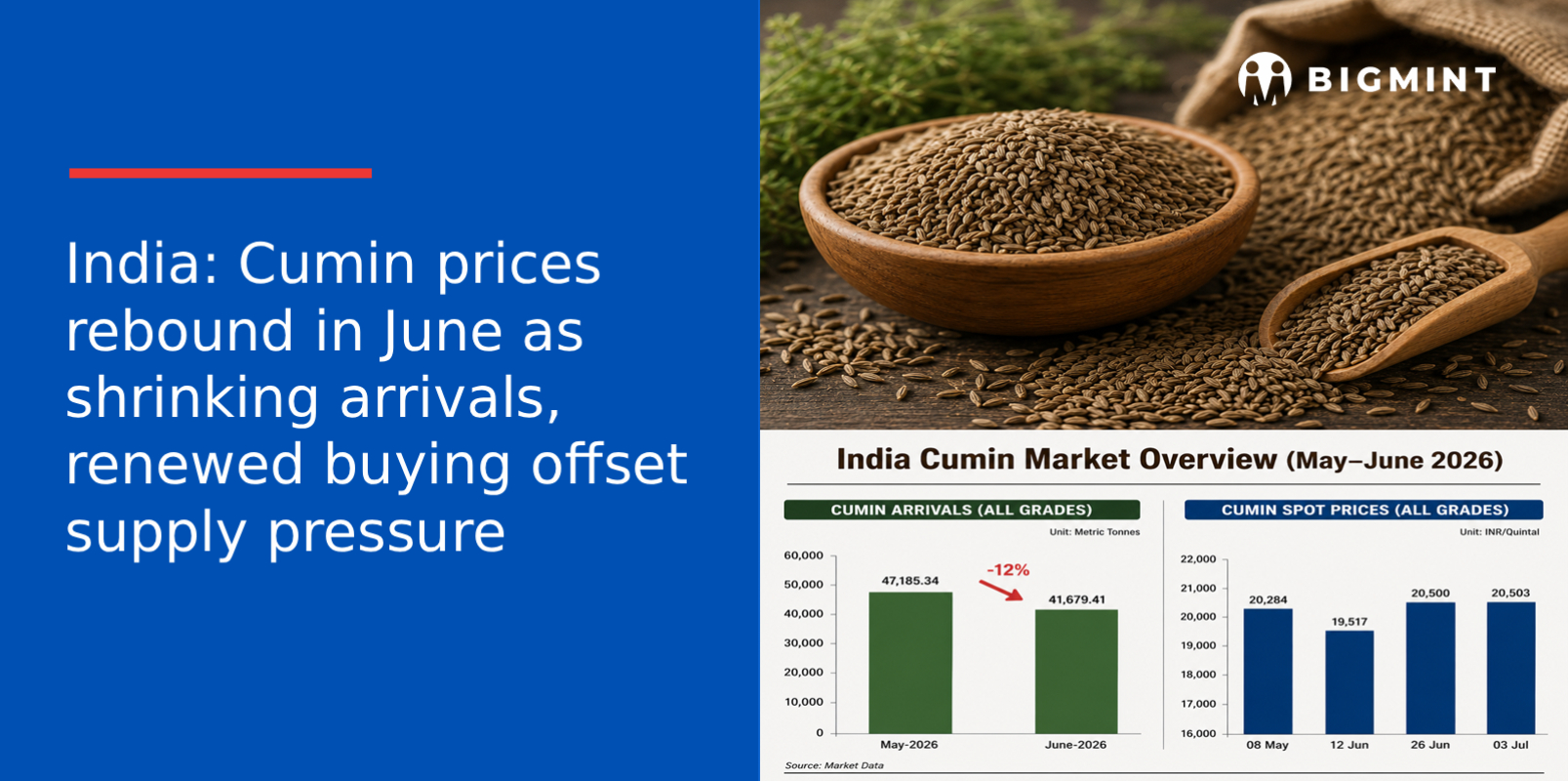 India: Cumin prices rebound in June as shrinking arrivals, renewed buying offset supply pressure
