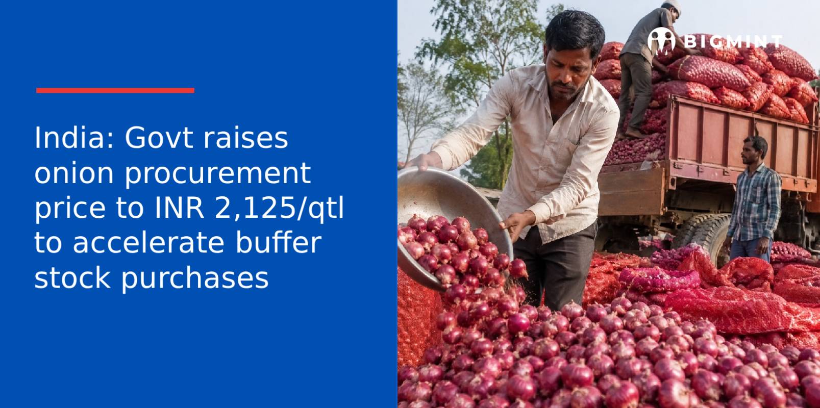 India: Govt raises onion procurement price to INR 2,125/qtl to accelerate buffer stock purchases