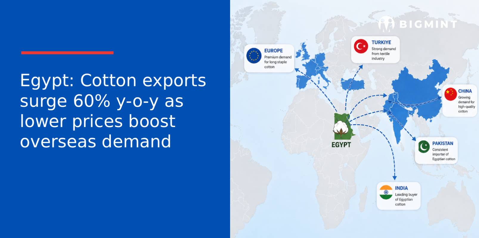 Egypt: Cotton exports surge 60% y-o-y as lower prices boost overseas demand